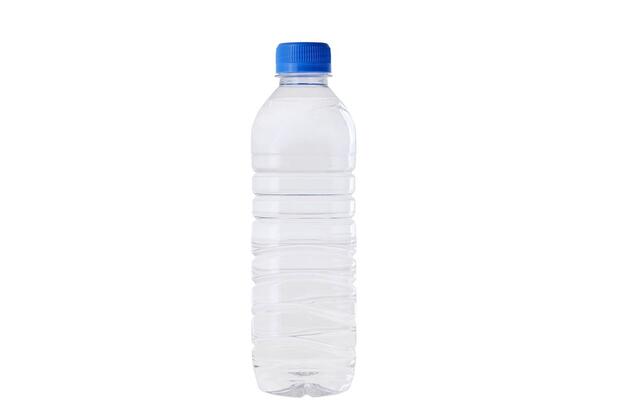 ゾウリムシ入りボトル（500ml）